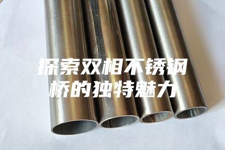 探索雙相不銹鋼橋的獨特魅力